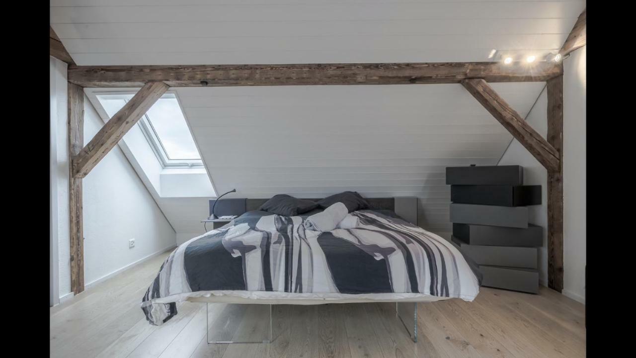 Luxury Penthouse Apartment Zurich Exterior photo
