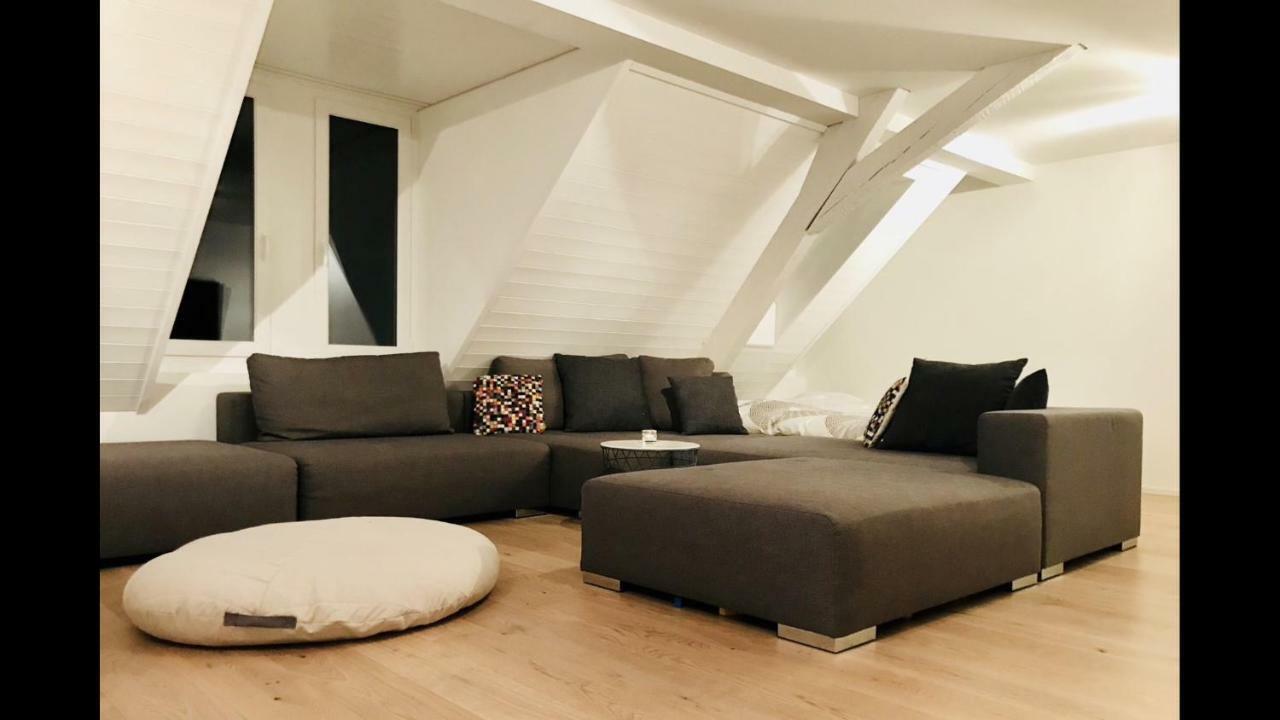 Luxury Penthouse Apartment Zurich Exterior photo
